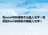 在excel中斜线格怎么输入文字（如何在Excel斜线单元格输入文字）