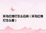 环岛红绿灯怎么右转（环岛红绿灯怎么看）