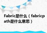 Fabric是什么（fabricpath是什么意思）