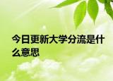 今日更新大学分流是什么意思