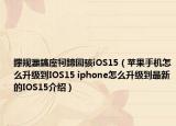 鑻规灉鎬庢牱鍗囩骇iOS15（苹果手机怎么升级到IOS15 iphone怎么升级到最新的IOS15介绍）
