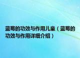 蓝莓的功效与作用儿童（蓝莓的功效与作用详细介绍）