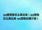 qq里宠物怎么弄出来（qq宠物怎么弄出来 qq宠物在哪介绍）