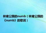 林肯公园的numb（林肯公园的《numb》的歌词）