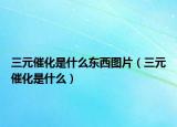三元催化是什么东西图片（三元催化是什么）