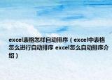 excel表格怎样自动排序（excel中表格怎么进行自动排序 excel怎么自动排序介绍）