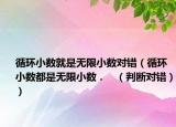 循环小数就是无限小数对错（循环小数都是无限小数．   （判断对错））