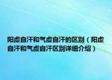 阳虚自汗和气虚自汗的区别（阳虚自汗和气虚自汗区别详细介绍）