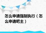 怎么申请强制执行（怎么申请吧主）