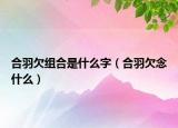 合羽欠组合是什么字（合羽欠念什么）