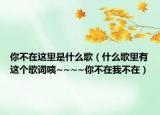你不在这里是什么歌（什么歌里有这个歌词咦~~~~你不在我不在）