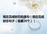 现在完成时态的造句（现在完成时态句子（我要20个））