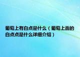 葡萄上有白点是什么（葡萄上面的白点点是什么详细介绍）