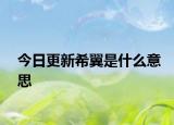 今日更新希翼是什么意思