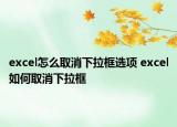 excel怎么取消下拉框选项 excel如何取消下拉框