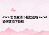 excel怎么取消下拉框选项 excel如何取消下拉框
