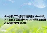 vivo手机OTG如何下载歌曲（vivo手机OTG怎么下载歌到MP3 vivo手机怎么用OTG传歌到mp3介绍）