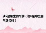 泸k是哪里的车牌（鲁k是哪里的车牌号码）
