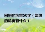 网络的危害50字（网络的危害有什么）