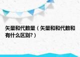 矢量和代数量（矢量和和代数和有什么区别?）