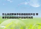 怎么关闭苹果手机微信拍照声音 苹果手机微信拍照声音如何关闭