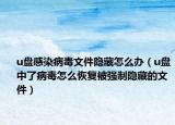 u盘感染病毒文件隐藏怎么办（u盘中了病毒怎么恢复被强制隐藏的文件）