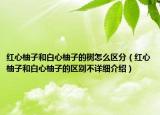 红心柚子和白心柚子的树怎么区分（红心柚子和白心柚子的区别不详细介绍）