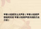 苹果12拍照怎么关声音（苹果12拍照声音如何关闭 苹果12拍照声音关闭的方法介绍）