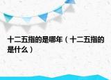 十二五指的是哪年（十二五指的是什么）
