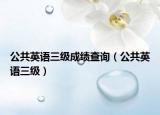 公共英语三级成绩查询（公共英语三级）