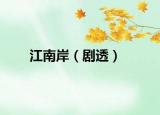 江南岸（剧透）
