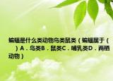 蝙蝠是什么类动物鸟类鼠类（蝙蝠属于（　　）A．鸟类B．鼠类C．哺乳类D．两栖动物）