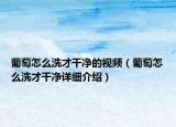 葡萄怎么洗才干净的视频（葡萄怎么洗才干净详细介绍）