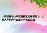 大产权房和小产权房的区别在哪里（什么是大产权房什么是小产权房介绍）