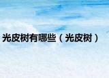 光皮树有哪些（光皮树）