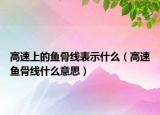 高速上的鱼骨线表示什么（高速鱼骨线什么意思）