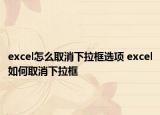 excel怎么取消下拉框选项 excel如何取消下拉框