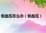 低血压怎么办（低血压）