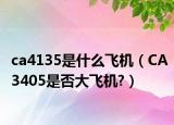 ca4135是什么飞机（CA3405是否大飞机?）