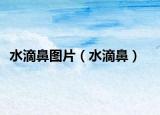 水滴鼻图片（水滴鼻）