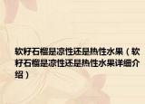 软籽石榴是凉性还是热性水果（软籽石榴是凉性还是热性水果详细介绍）