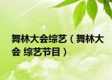 舞林大会综艺（舞林大会 综艺节目）
