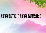终身禁飞（终身制职业）