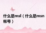 什么是msl（什么是msn帐号）