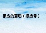 报应的意思（报应号）