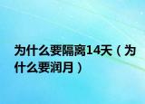 为什么要隔离14天（为什么要润月）