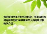 如何使用苹果手机钱包付款（苹果钱包如何向商家付款 苹果钱包怎么向商家付款教学介绍）