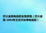 烈火金刚电视剧全集剧情（烈火金刚 2003年王奕开执导电视剧）