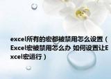 excel所有的宏都被禁用怎么设置（Excel宏被禁用怎么办 如何设置让Excel宏运行）