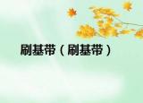 刷基带（刷基带）